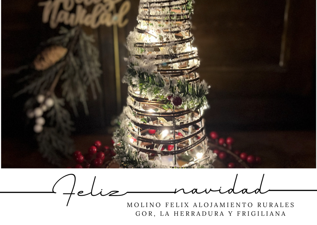 Merry Christmas Feliz Navidad
